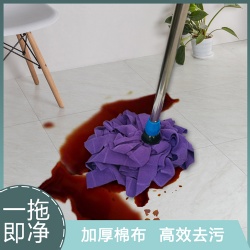 Microfiber Cleaning Mop